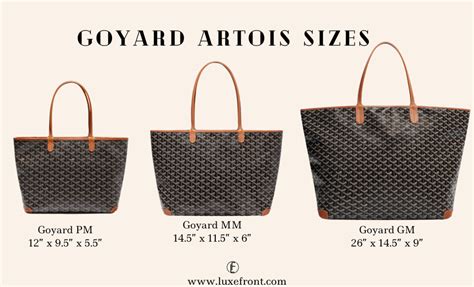 goyard artois pm vs mm|goyard artois vs st louis.